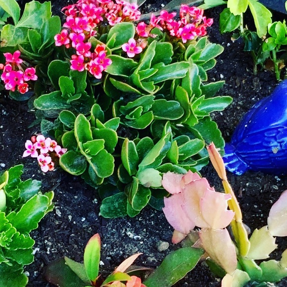 Meet the Posher Kasia - Picture 7 of 16